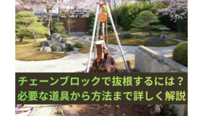 チェーンブロックで抜根するには？必要な道具から方法まで詳しく解説
