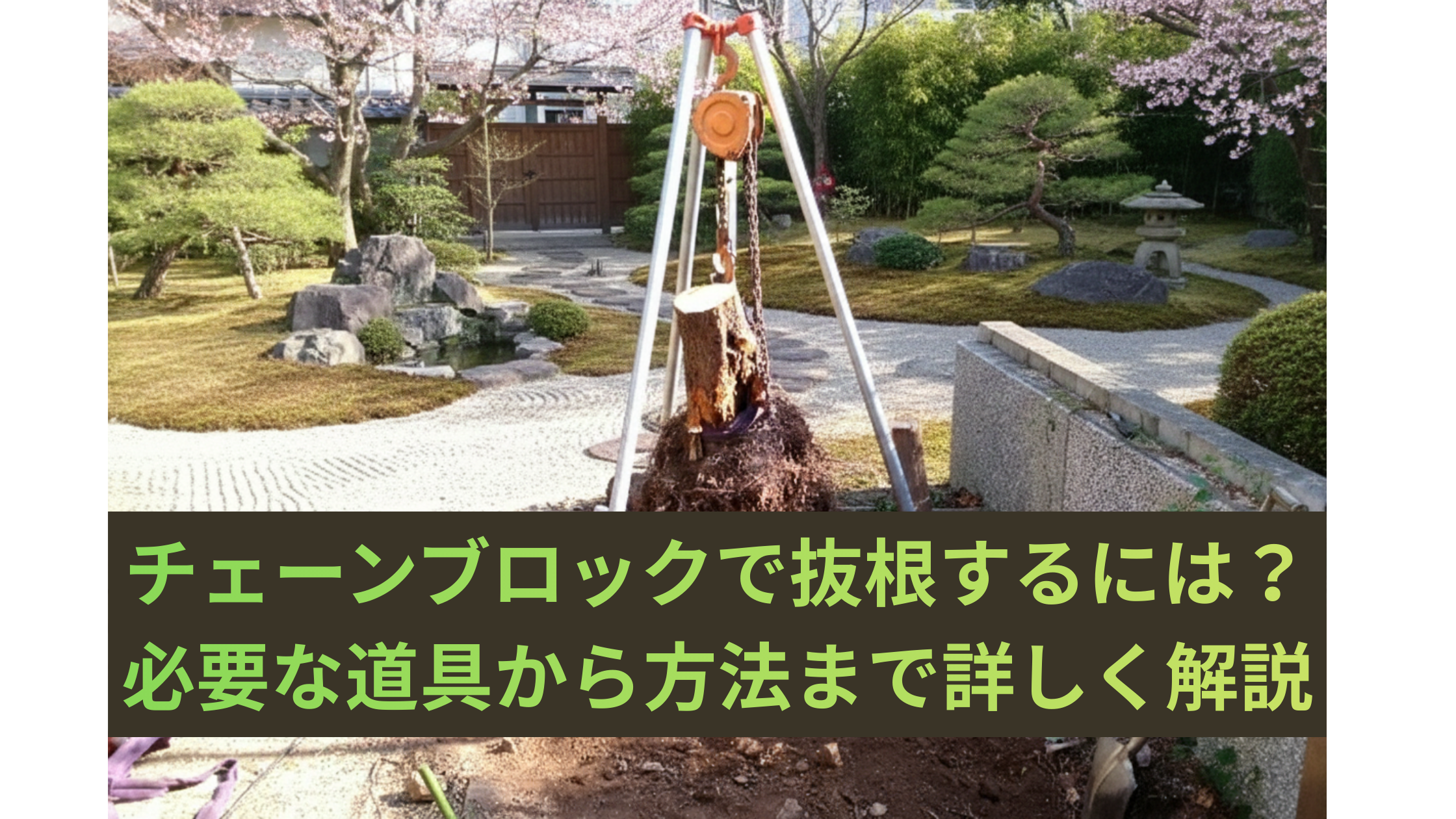 チェーンブロックで抜根するには？必要な道具から方法まで詳しく解説