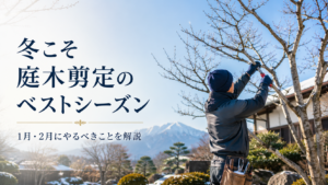 冬こそ庭木剪定のベストシーズン！枯らさずに樹形を整えるために1月・2月にやるべきこと