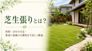 芝生張りとは？行う時期からかかる費用まで詳しくご紹介