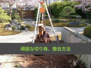 チェーンブロックで抜根するには？必要な道具から方法まで詳しく解説