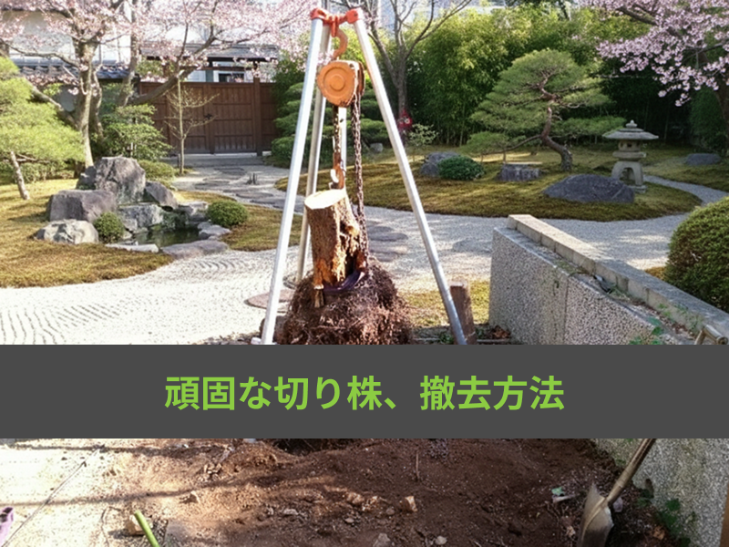 チェーンブロックで抜根するには？必要な道具から方法まで詳しく解説