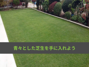 芝生張りとは？行う時期からかかる費用まで詳しくご紹介